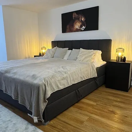 Apartmán Stylishe Maisonette - 4 Schlafplaetze - 2 Smart-tvs